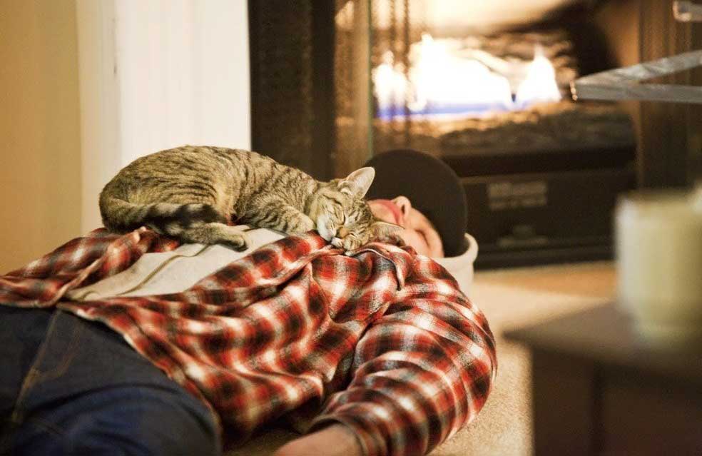 reasons cats sleep with owners