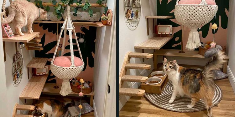 woman transforms cupboard under stairs cats room