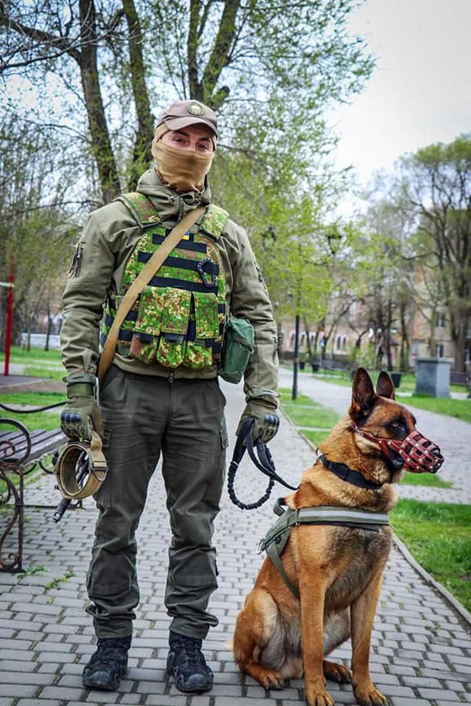 Abandoned war dog is rescued by Ukrainian troops