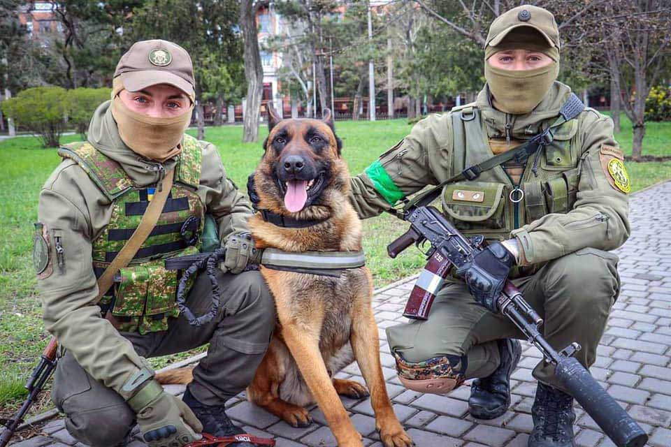 War dog abandoned by Russians changes sides after being rescued by Ukrainian troops