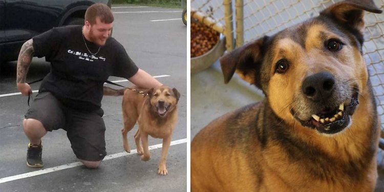 dog adopted after 2381 days at shelter