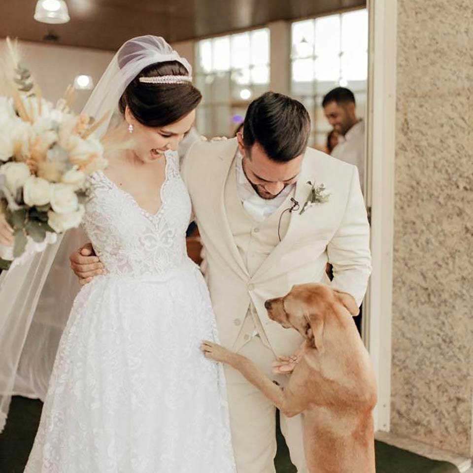 Dog and bride and groom at a wedding