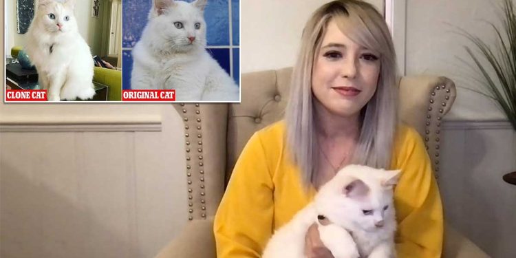 Woman Paid $25,000 Clone Dead Cat