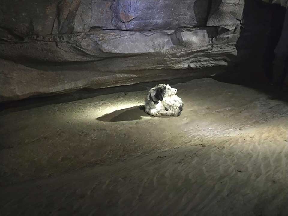 Abby found in the cave