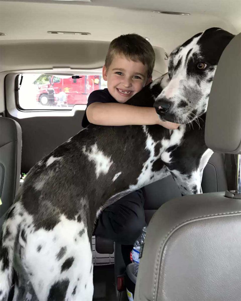 Family adopts the largest dog in the shelter