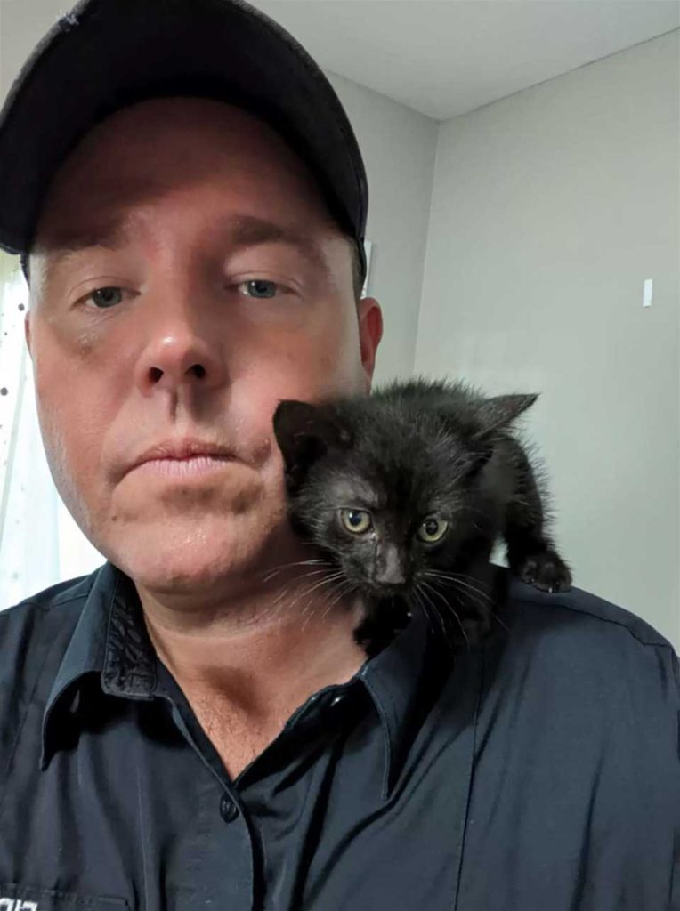 Trapped kitten sees the firefighter who came to save him and falls in love