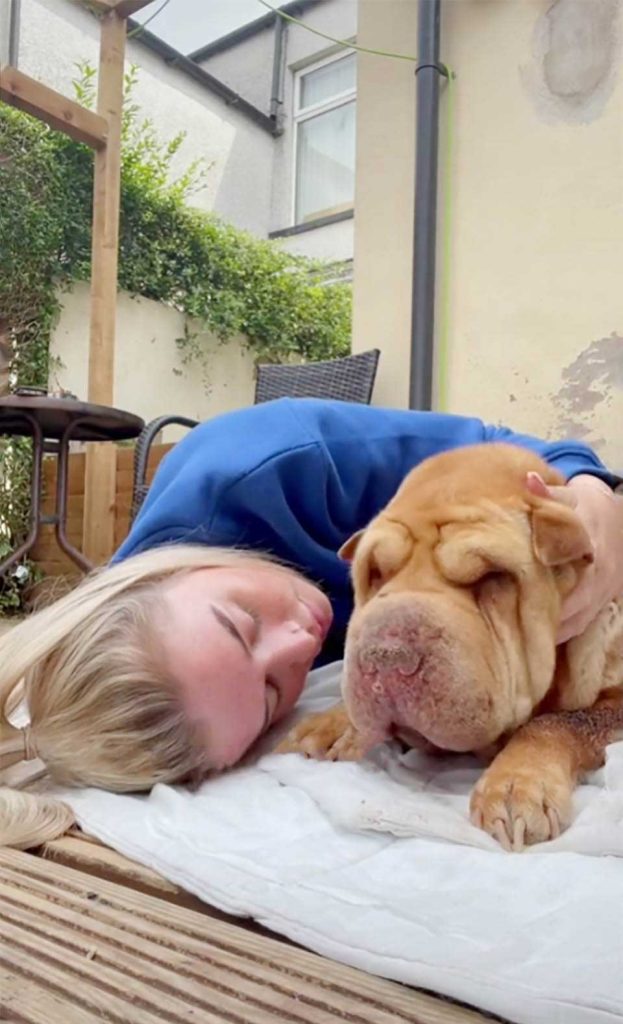 Woman gives her beloved dog a few last hours of lots of love