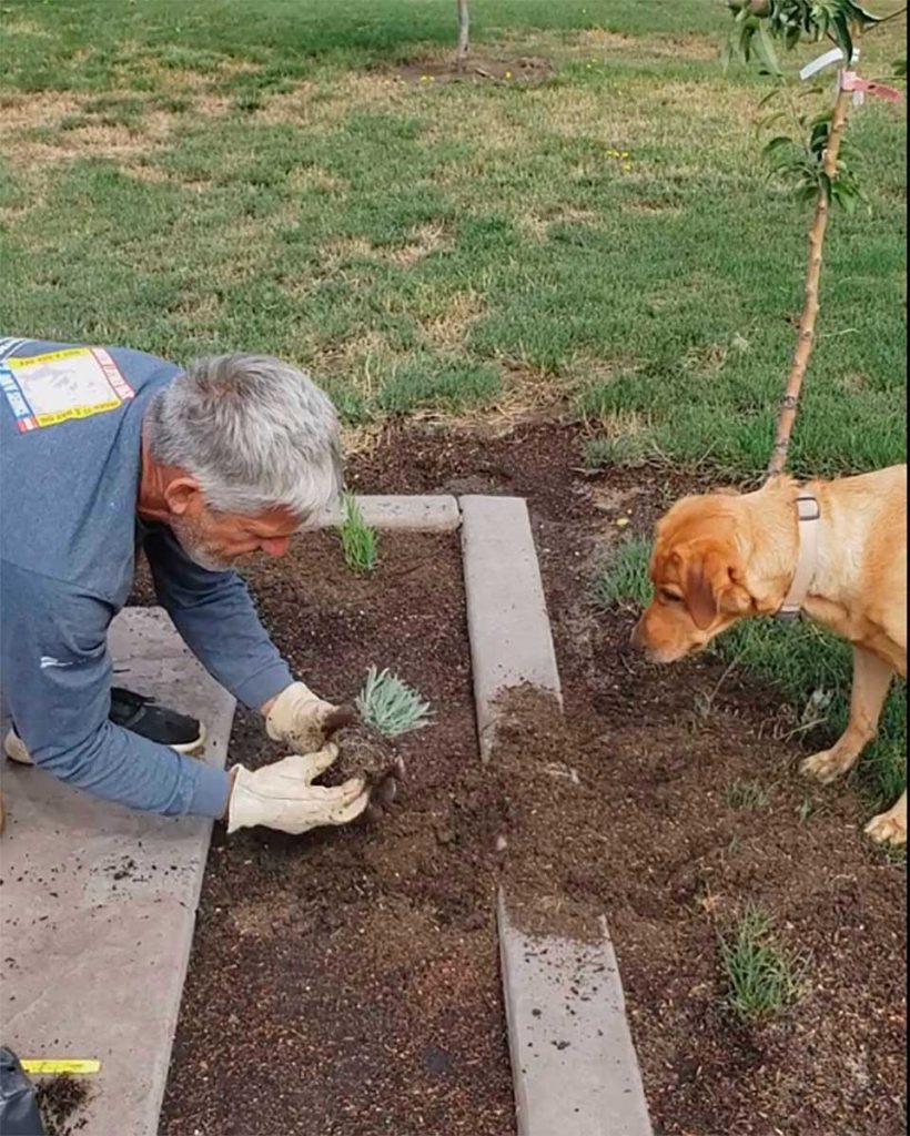 gardener and his dog plant