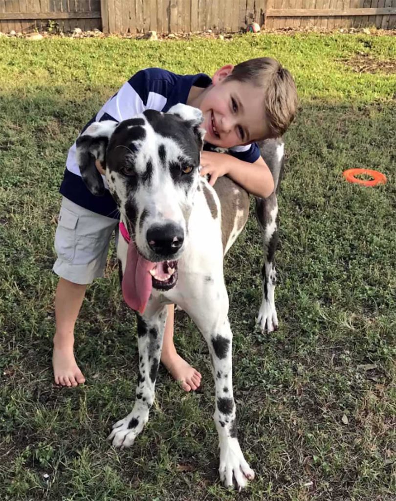 kid tricks his parents into adopting the biggest dog in the shelter