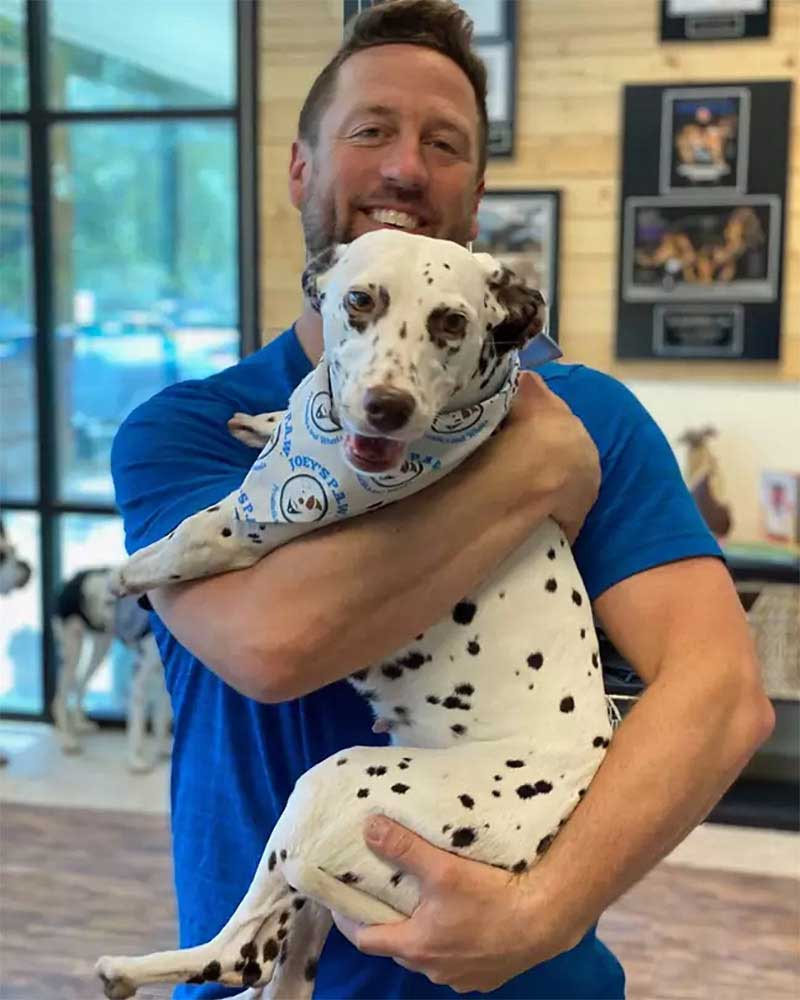 rescued two legged dalmatian finds home (2)