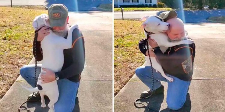 shelter dog meets new dad can let hug him