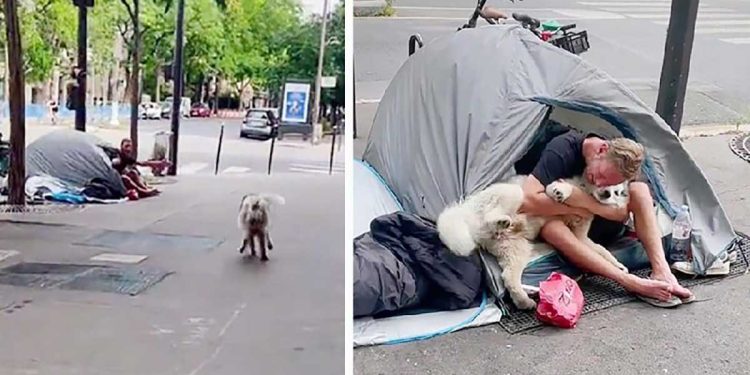 dog finds homeless become friend