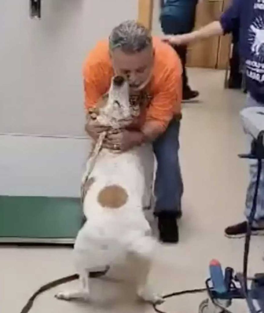 emotional dog owner reunion after 18 months