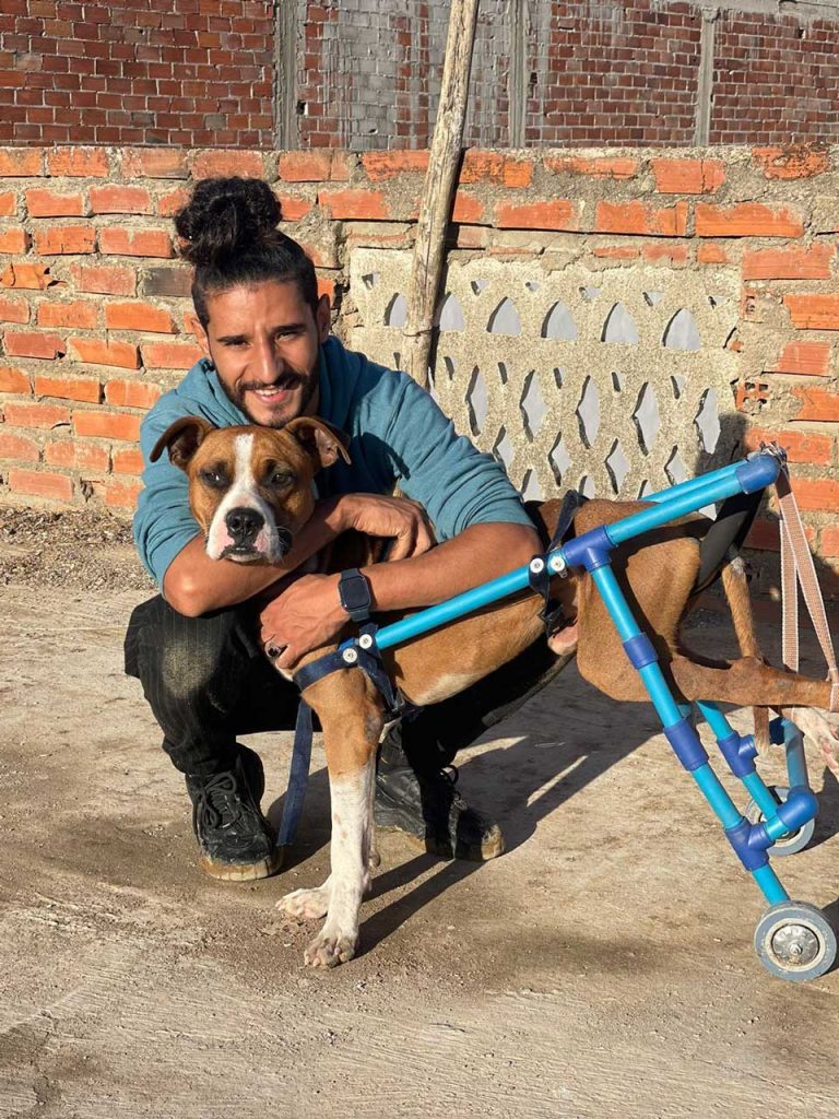 young man adopts disabled dog makes life happy