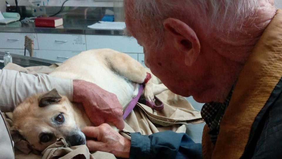 95 year old man says goodbye to best friend