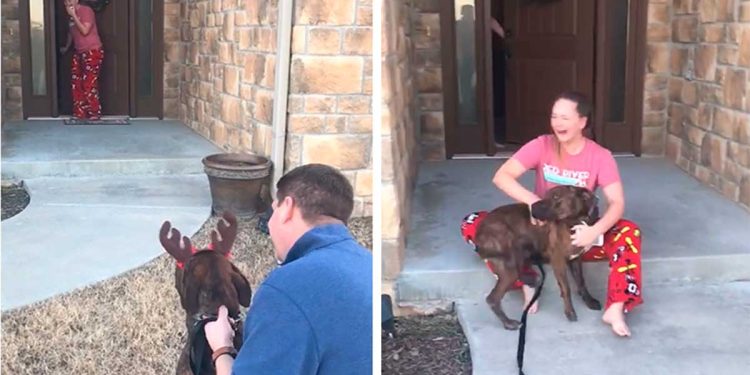 family adopts secret shelter dog