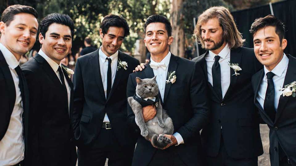 man loves cat becomes groomsman wedding