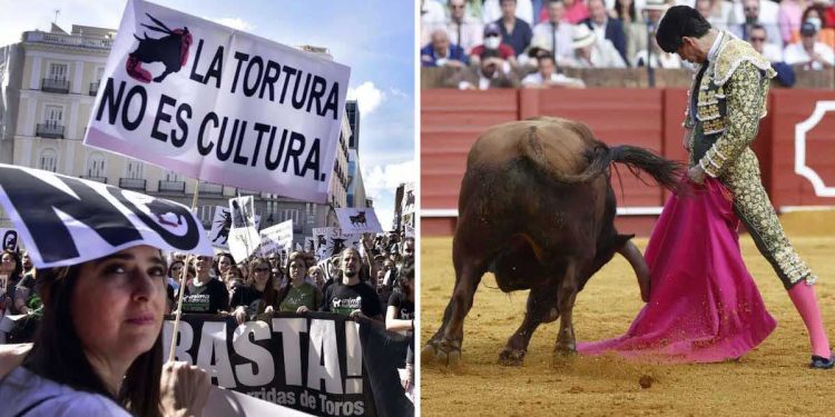 mexicans celebrate suspension bullfighting season