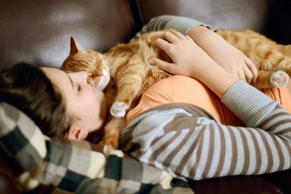 signs your cat loves you