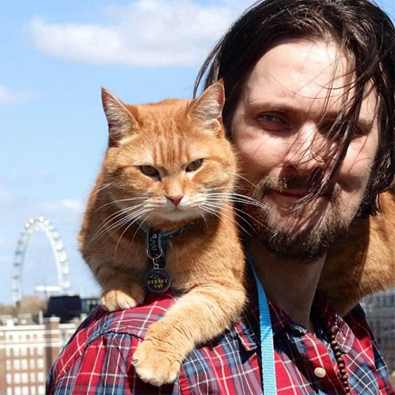 Bob cat passed away owner life change