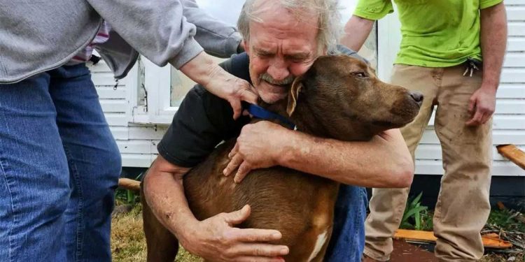 grandfather dog hospital tears no money treatment