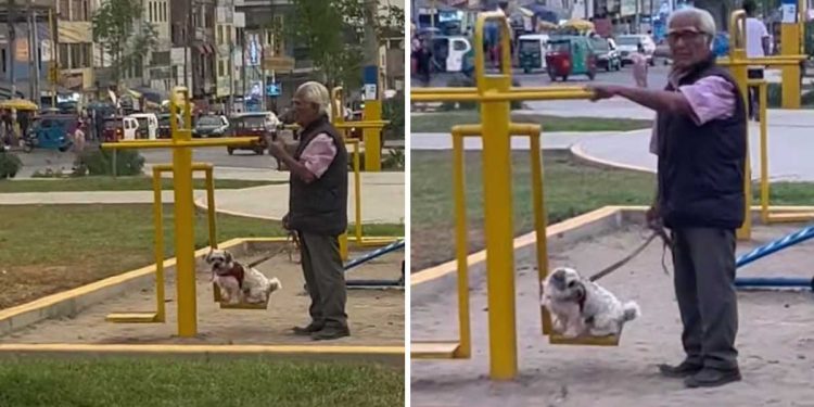 grandfather walks dog puts swing park