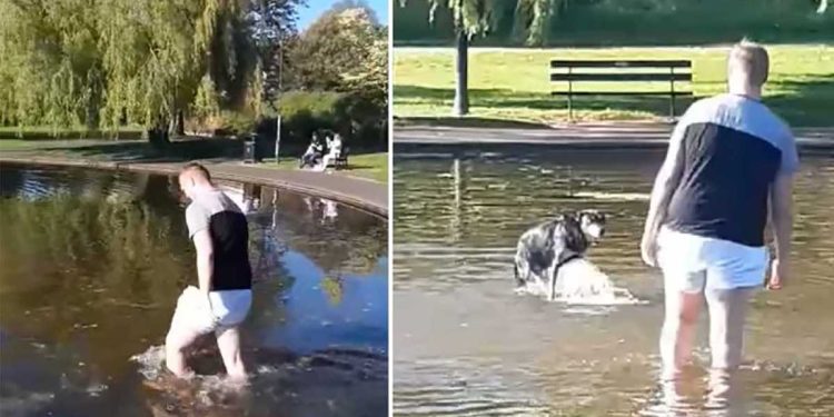 man enters the pond take out dog