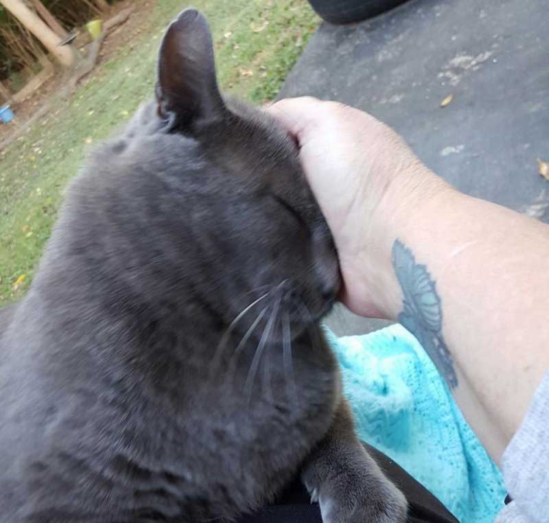 woman home cat found outside
