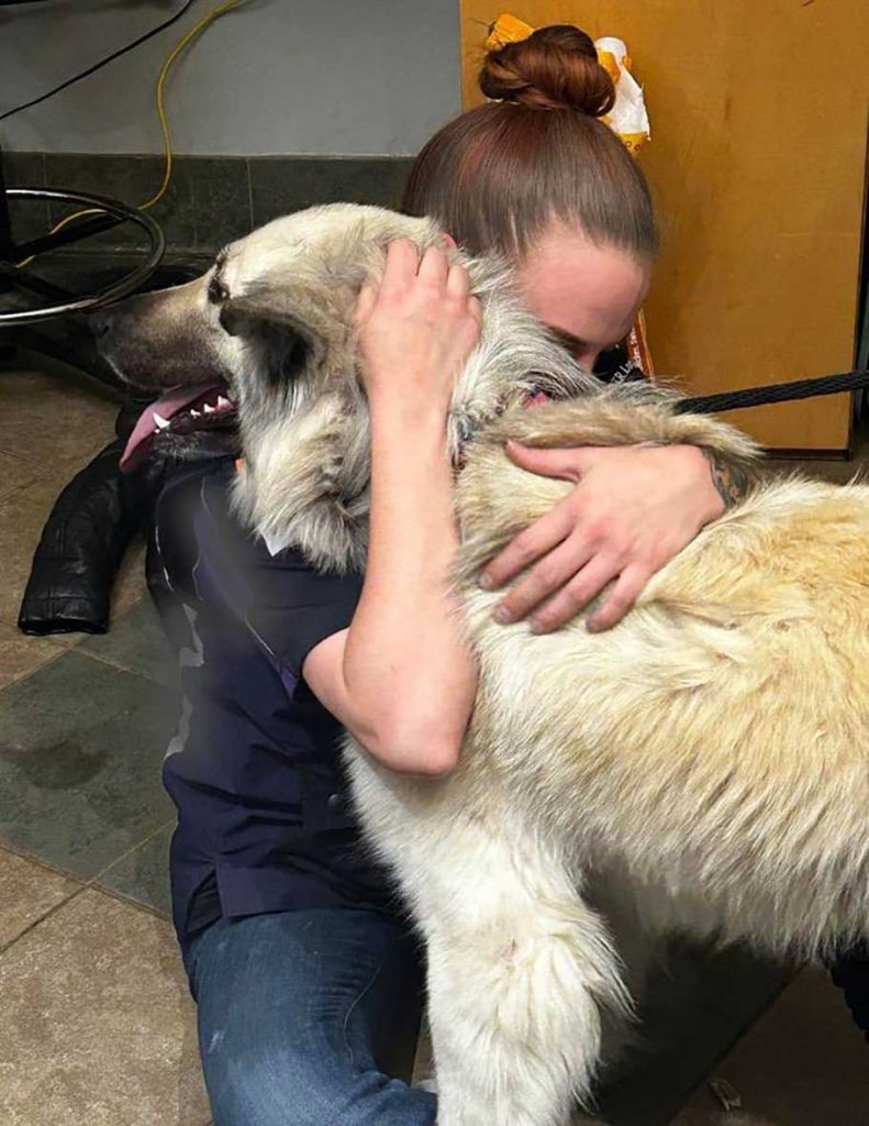 woman left dog shelter lost home Lilo