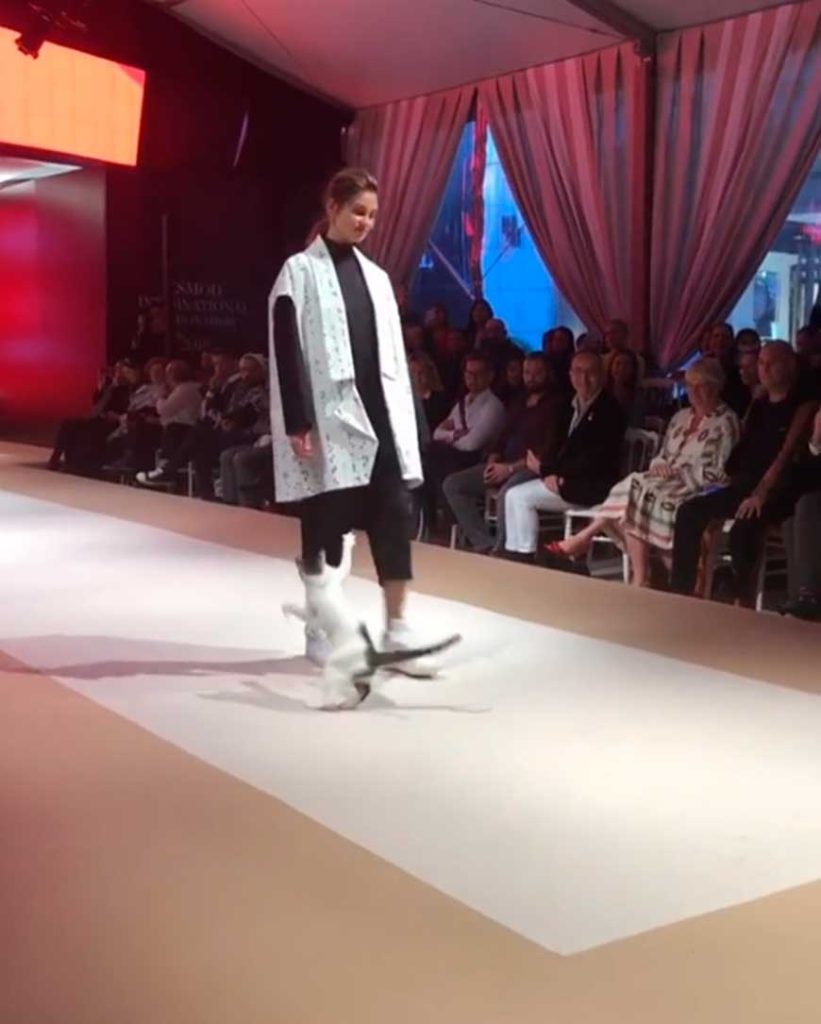 homeless cat steals the show at istanbul fashion show