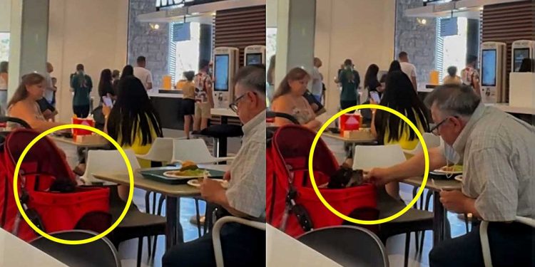 man filmed feeding paralyzed dog shopping mall