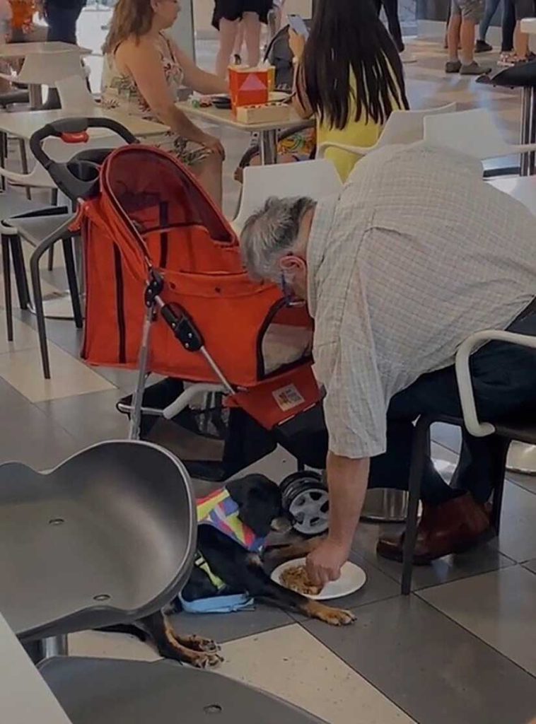 man filmed feeding paralyzed dog shopping mall