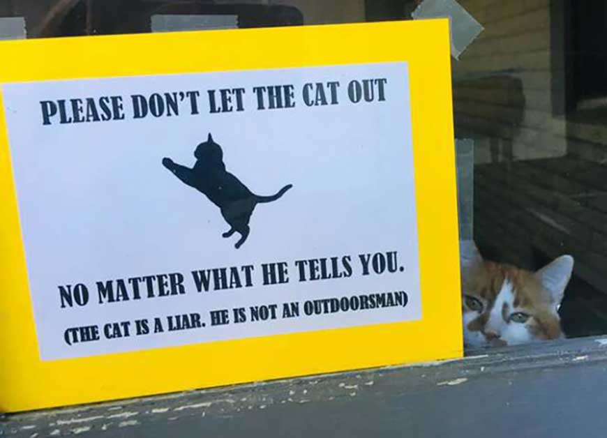 sneaky cat escape put sign