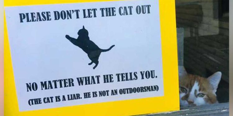 sneaky cat escape put sign
