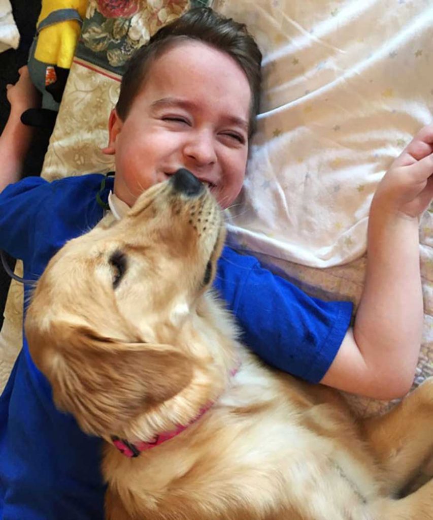 dog helps paralyzed child
