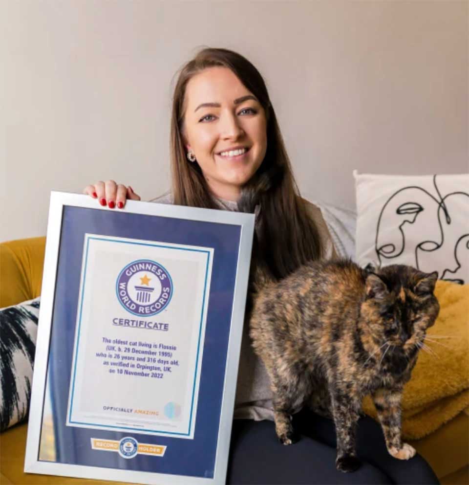 old world cat 27 years old guinness records