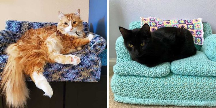 people free time crocheting small sofas cats