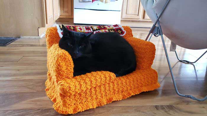 people free time crocheting small sofas cats