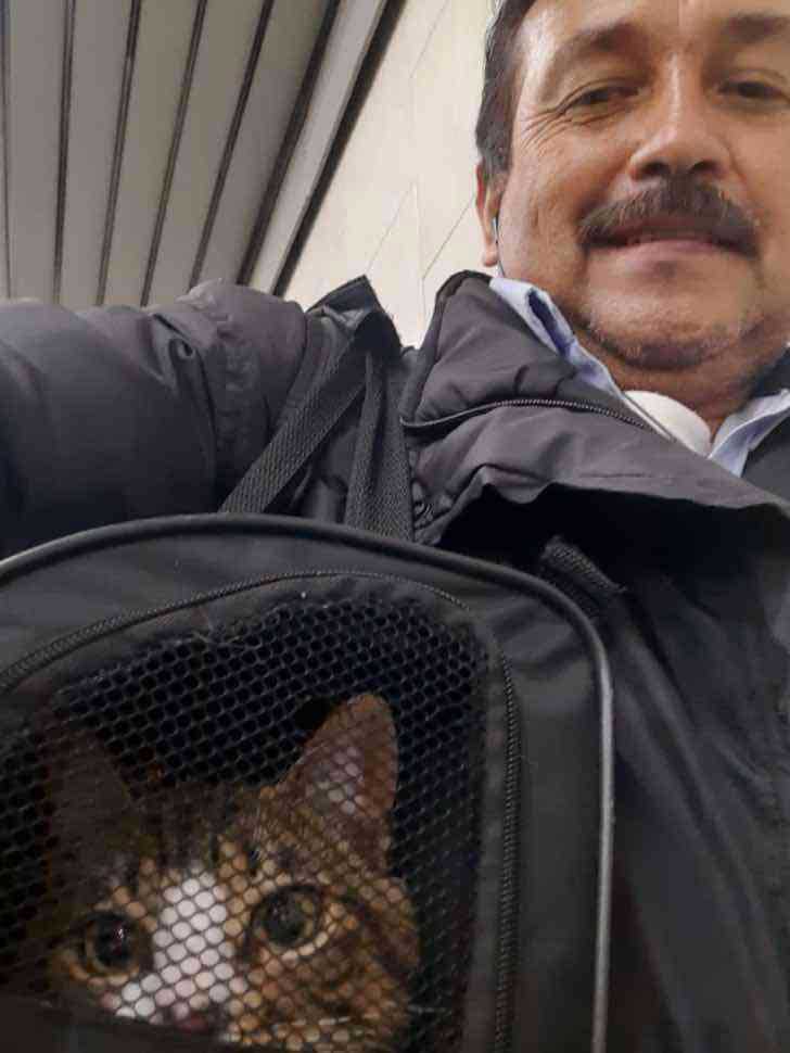 Cat abandoned on bus was adopted by driver who found him