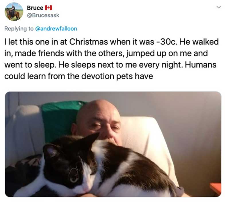 man wakes up surgery find unknown cat