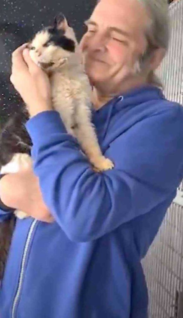 25-year-old cat who was lost cried found owner