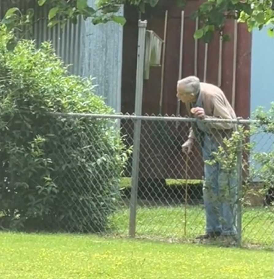 elderly man sweet friendship with neighbor golden retrievers heartwarming video