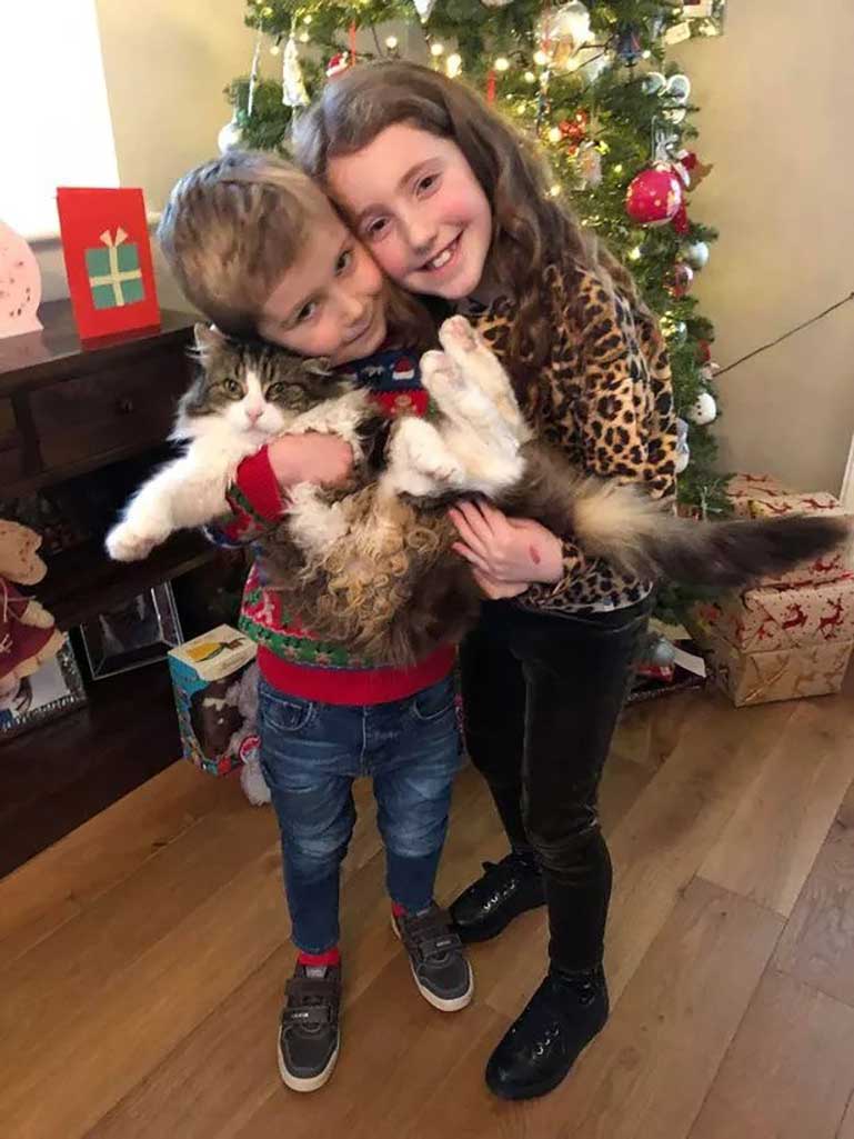 family cremates cat 22 days later alive doorstep