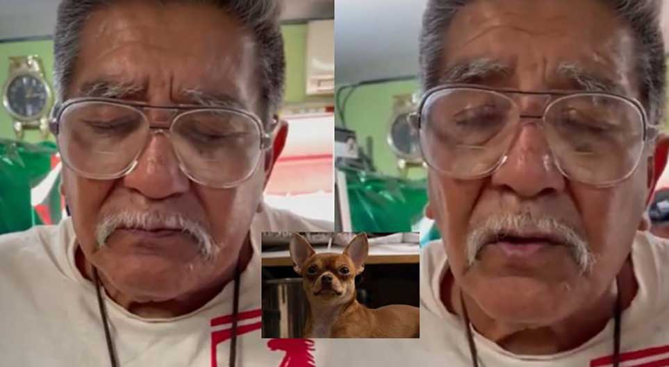 grandfather couldn t help but cry found stolen dog