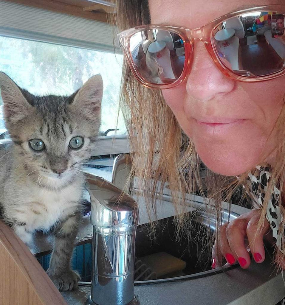 kitten arrives couple beach insists companion travel