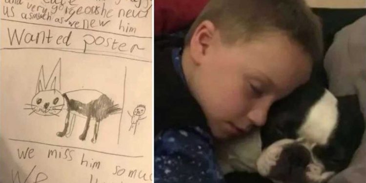 moving drawing boy search stolen dog
