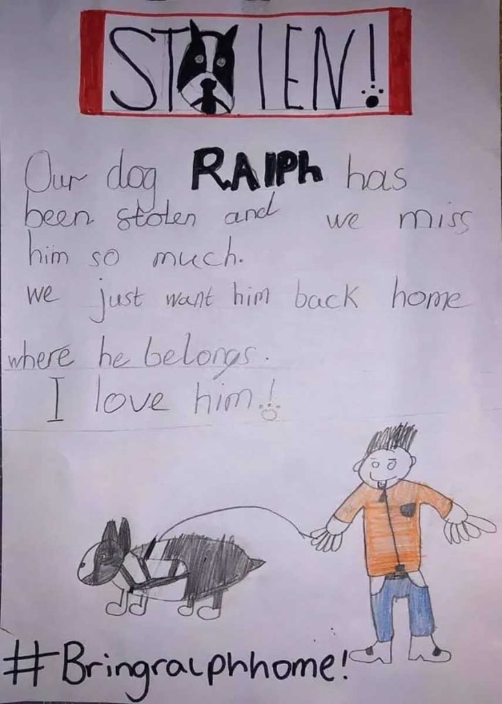 moving drawing boy search stolen dog