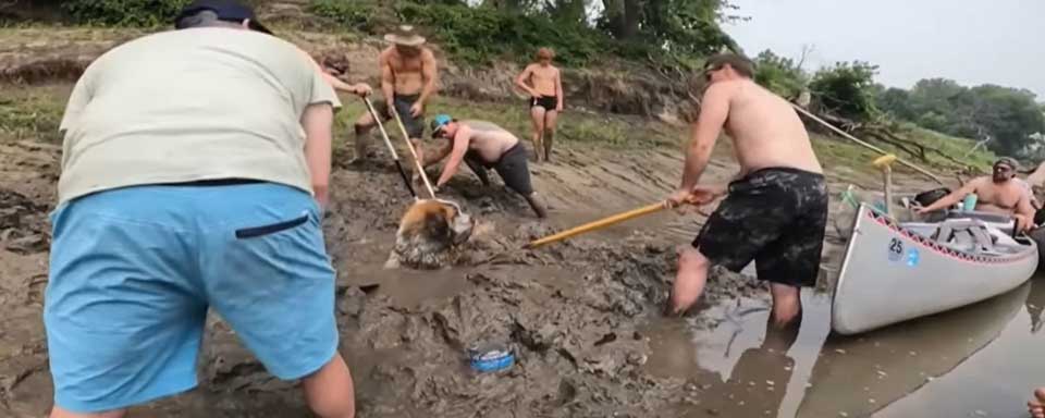 bachelor party unexpected turn dog mud