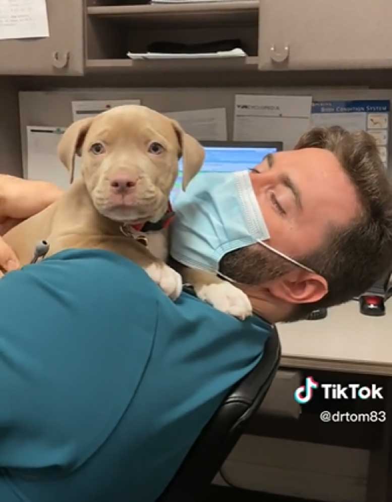 veterinary clinic video went viral