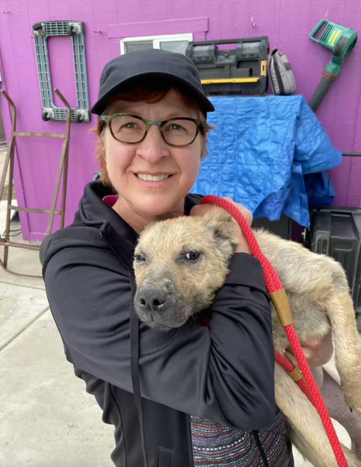rescued stray dog new family kisses